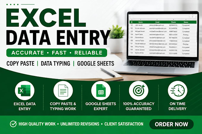 do accurate excel data entry and data cleaning