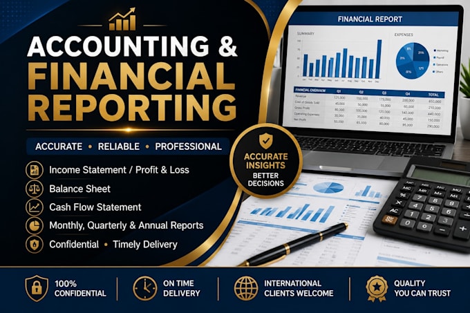 provide professional accounting and financial reporting