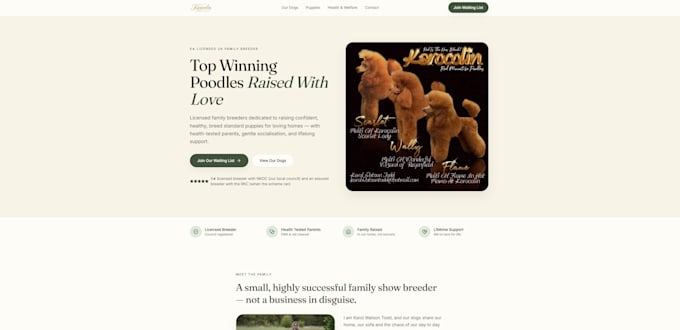 build you a free website