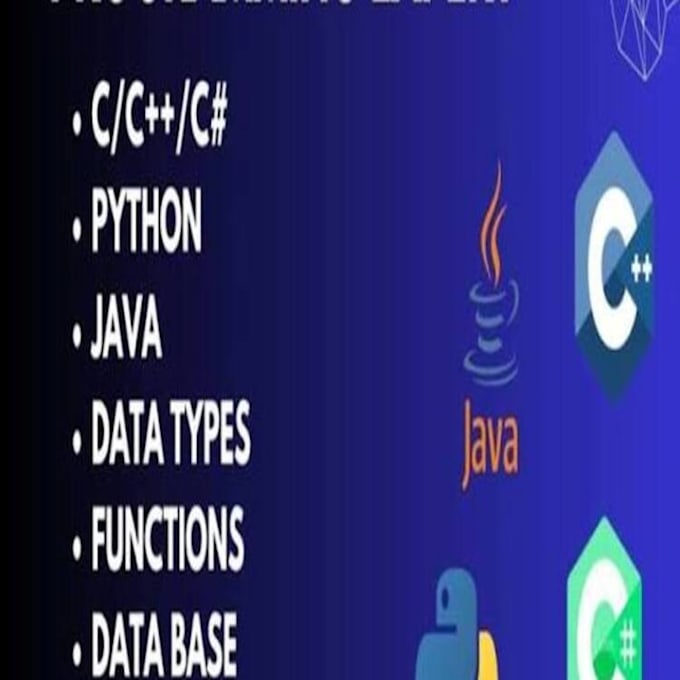 solve programs data structures in python java or cpp