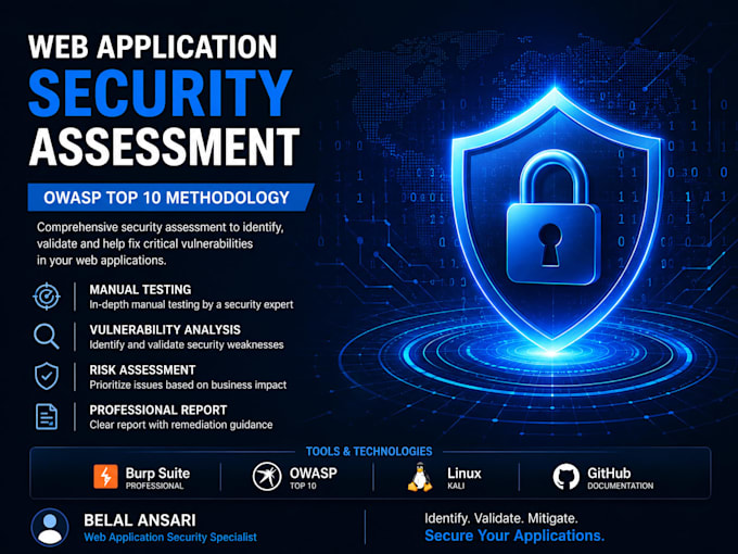 perform professional web application security testing