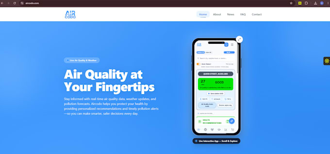 web development, business website, or website design
