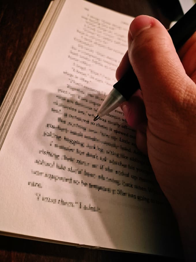 beta reader, I will assess your book and give suggestions