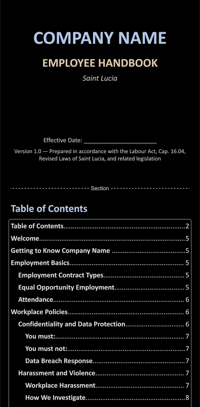 write your employee handbook and HR policies