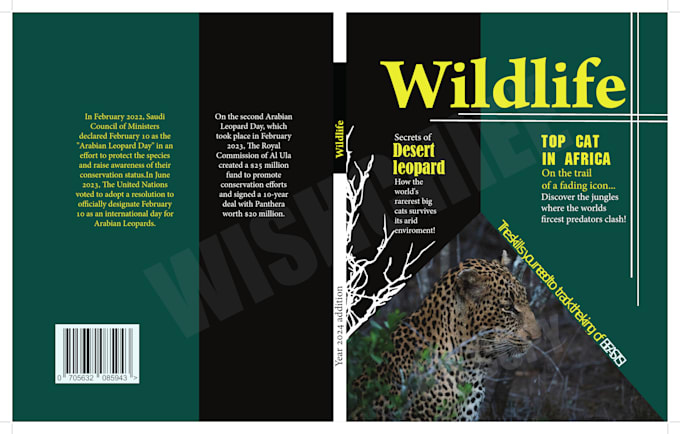 design a book cover for you