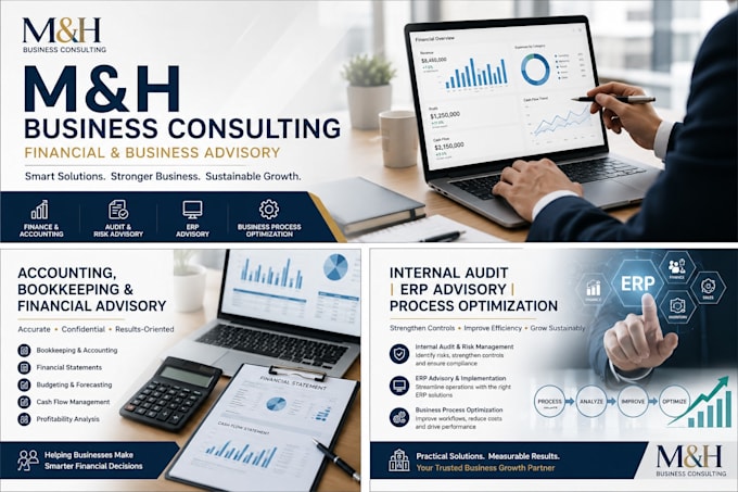 provide financial advisory, accounting consulting and book keeping services
