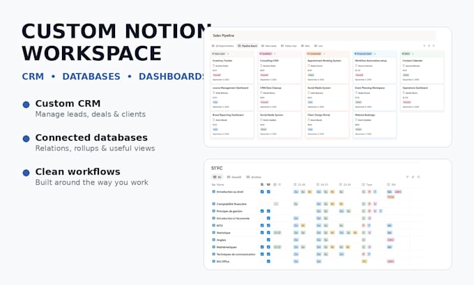 build a custom notion CRM or workspace
