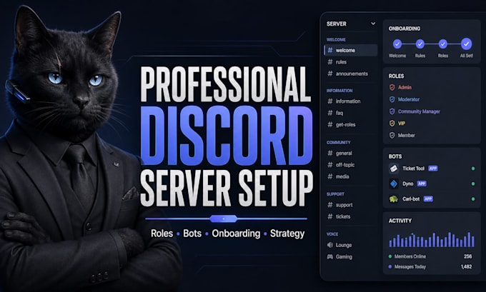 create and professionally set up your discord server