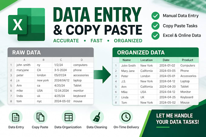 do excel data entry, data cleaning and data organization