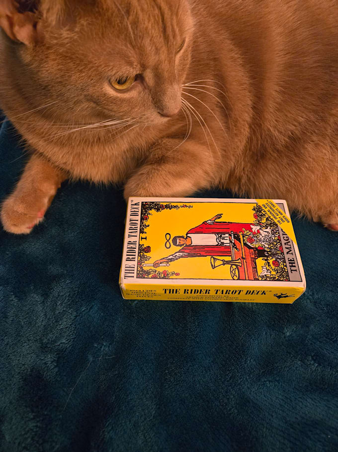 provide tarot readings, channeling, and energy clearing
