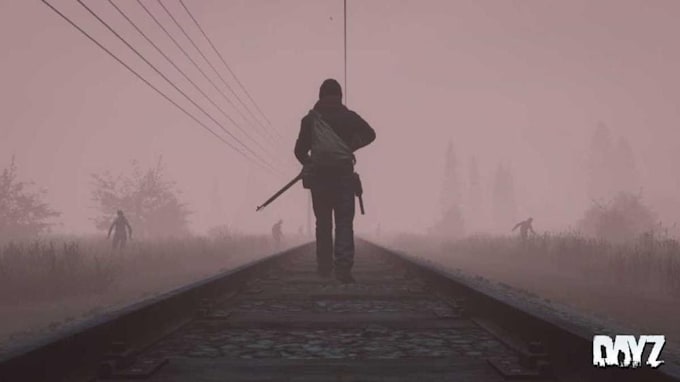develop custom dayz mods, scripts custom weapons for dayz server