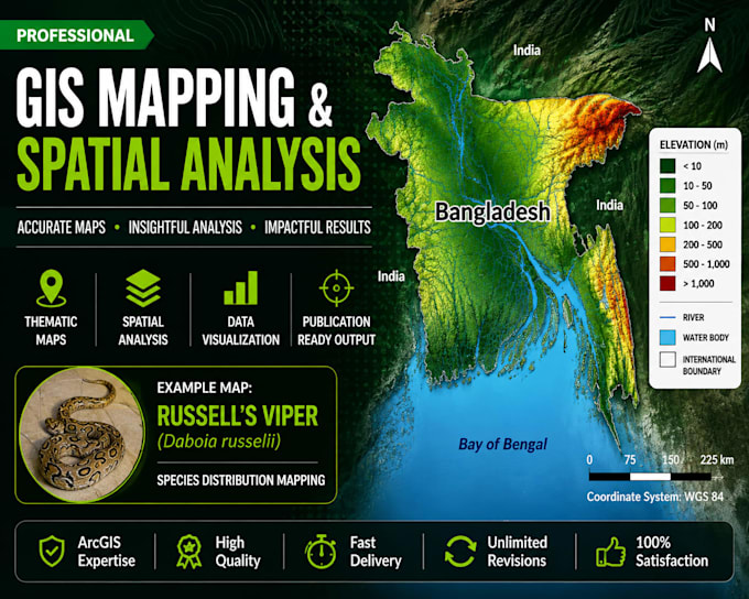 create professional gis maps and spatial analysis