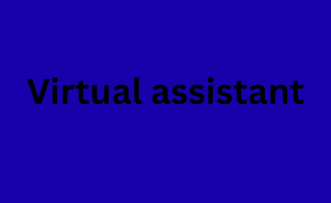 do executive virtual assistant for you