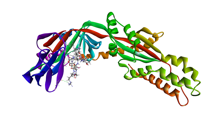 perform molecular docking and interaction analysis
