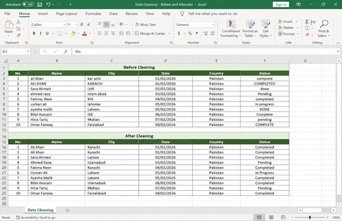 do professional excel data formatting and cleaning