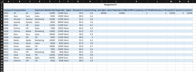 professionally clean format and manipulate excel data