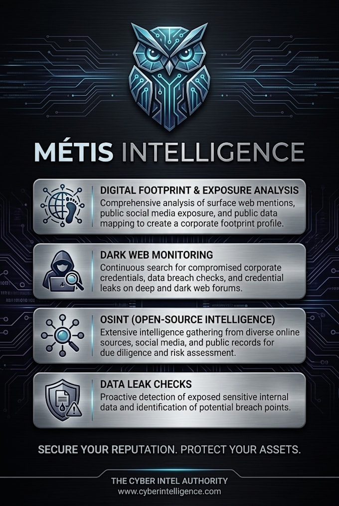 conduct a corporate digital footprint and exposure analysis