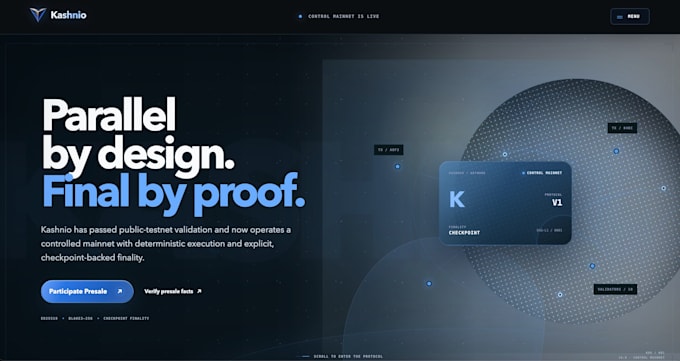 provide saas and mvp development