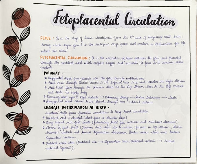 do neat handwriting of tyour digital notes