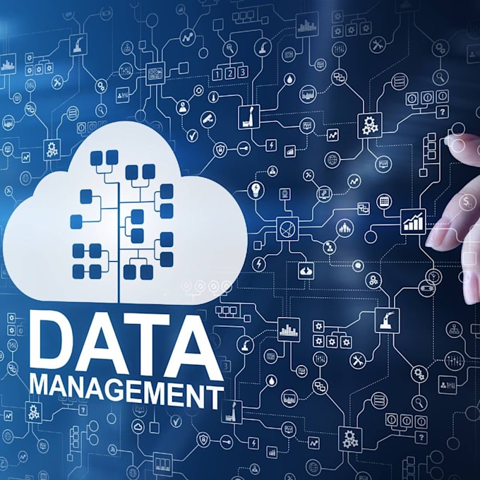 manage data on excel clean and format database