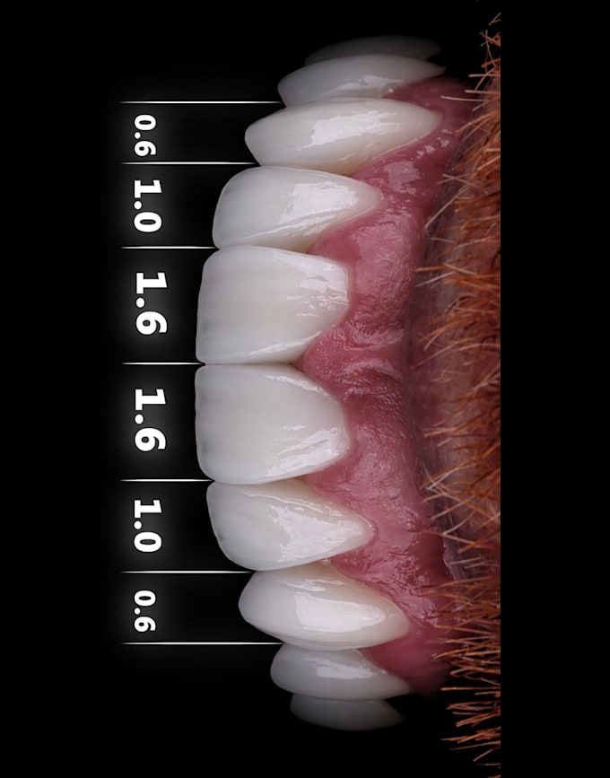 create professional dental animation