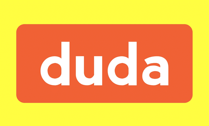 design or redesign duda website as duda, webador or bubble website developer