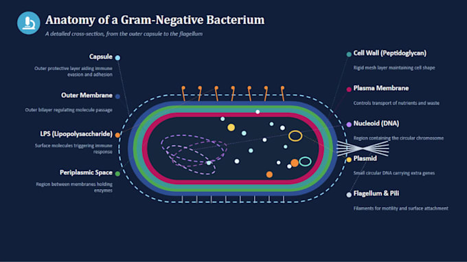 design clean academic and scientific powerpoint presentations
