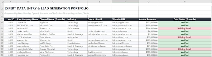 do expert data entry, excel data cleaning