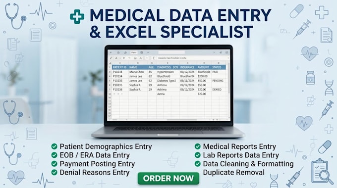 do US medical data entry and patient entry in excel
