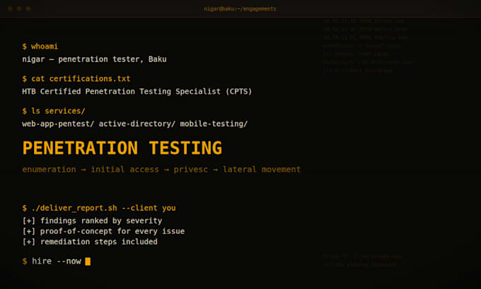 perform web application penetration testing and security audit