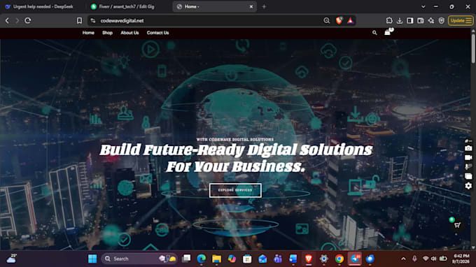 web development and tech support