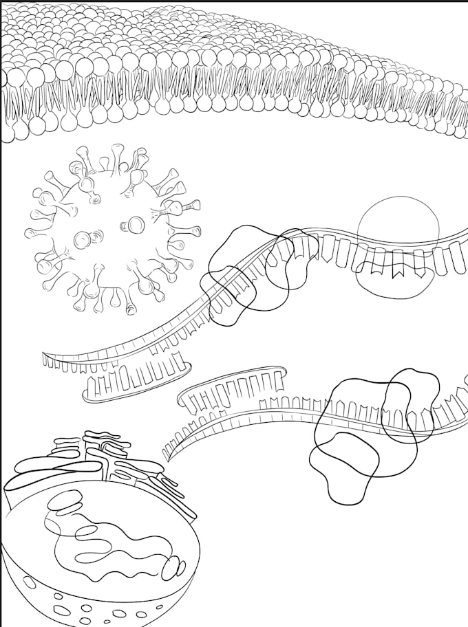 create scientific illustrations and graphical abstracts for your paper
