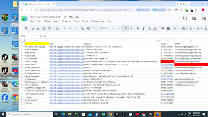 do expert data entry, lead generation and web research