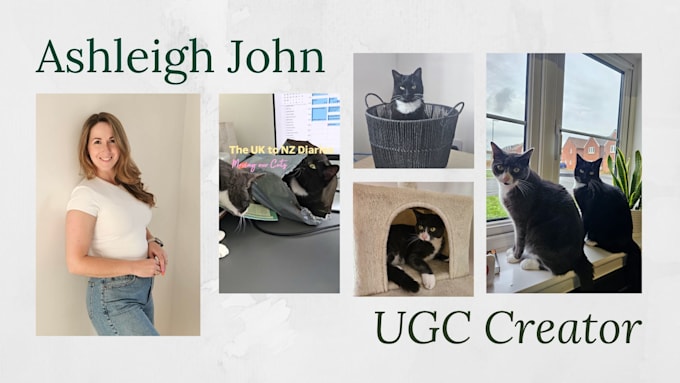 create ugc cat product videos that convert buyers