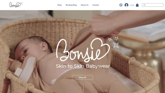 design wix ecommerce store, wix website or dropshipping store