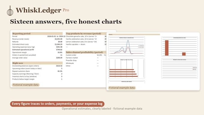 build a custom excel financial model, budget tracker, or dashboard