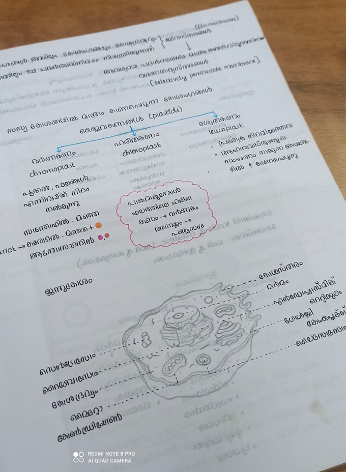 handwrite study notes and any document you provide