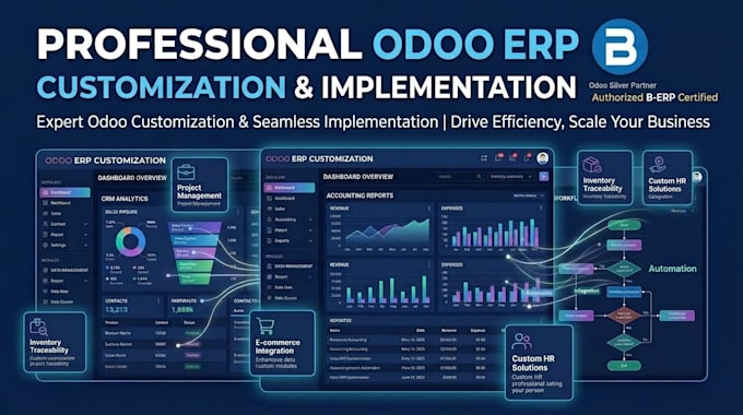 do custom erp development, customization and integration