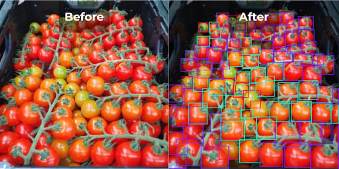 detect object using yolo opencv in python