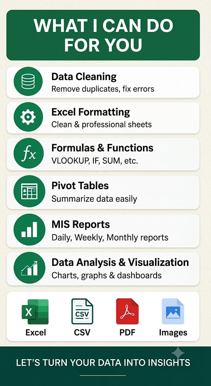 create professional excel and mis reports