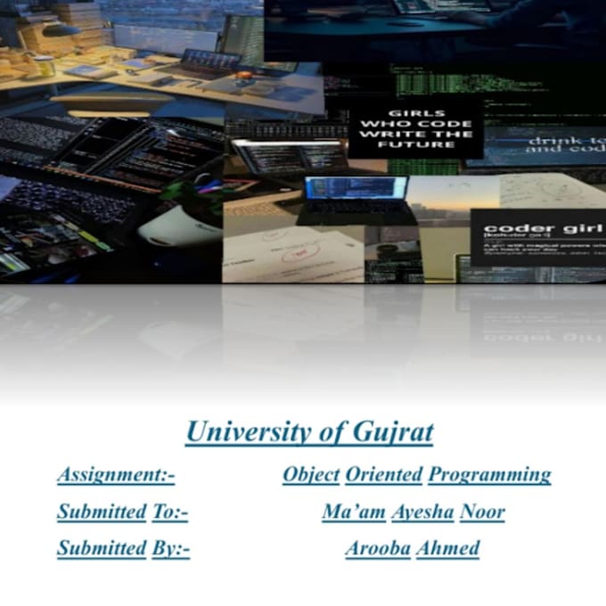 provide programming guide,notes and assignments as well