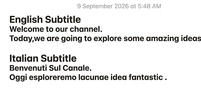 add professional subtitles videos