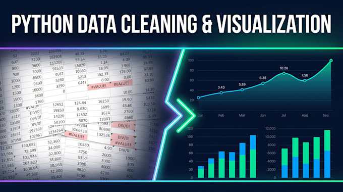 write python scripts for data cleaning and visualization