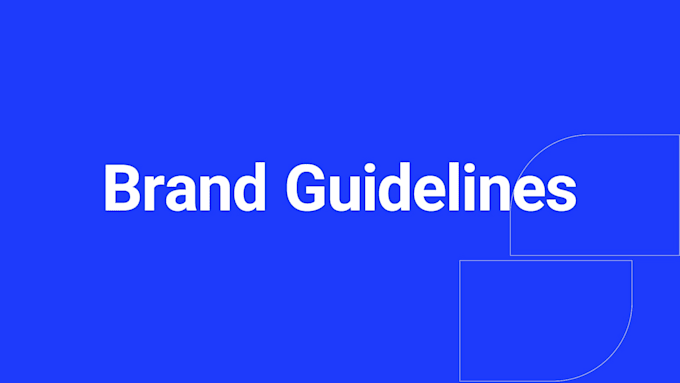 professional brand style guide and brand guidelines