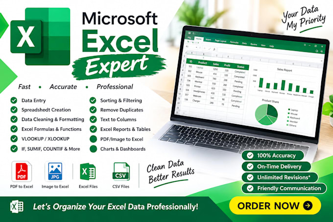be your microsoft excel expert for data entry, formulas, formatting and r
