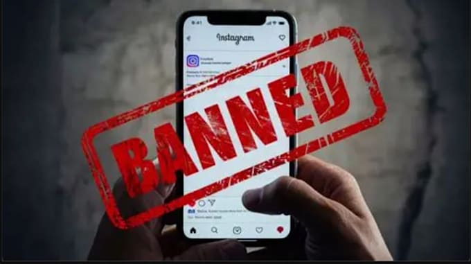 takedown harassing copyright ig fb x content, telegram banning, ig banning
