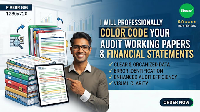 professionally color code your audit working papers and financial statements