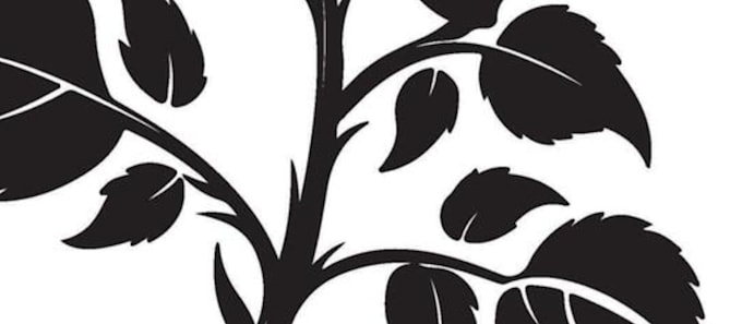 draw high detail black and grey tattoo design