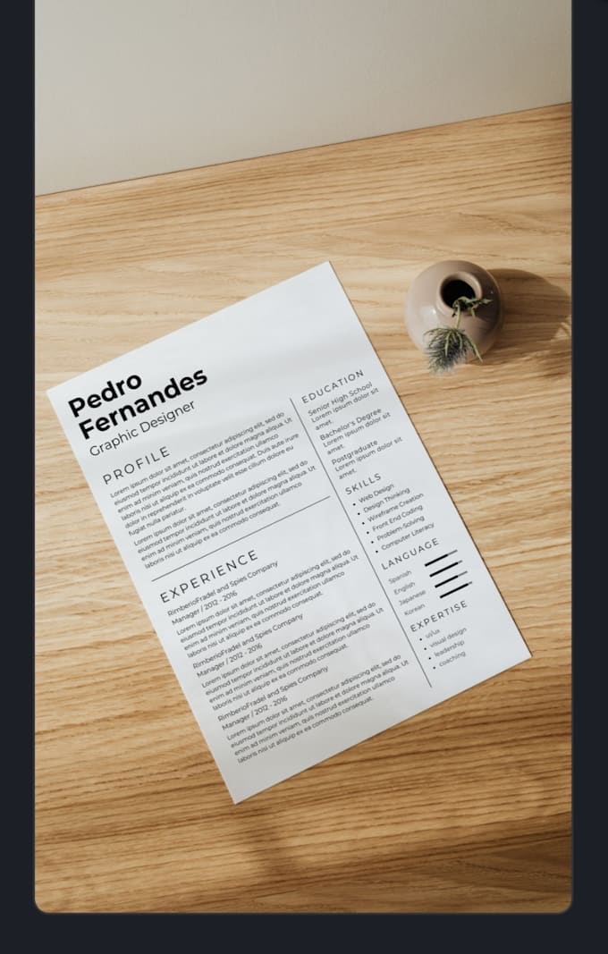 create a professional ats friendly CV resume