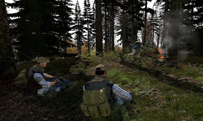 create custom dayz mods, maps, servers, koth systems and scripts for dayz